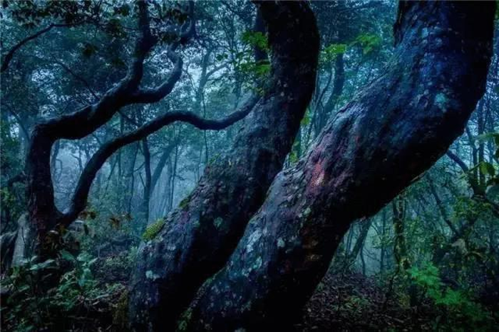 【夢想聚團隊 團隊創輝煌】西微雅團建活動——長白山之旅(圖13) 【夢想聚團隊 團隊創輝煌】西微雅團建活動——長白山之旅(圖13)