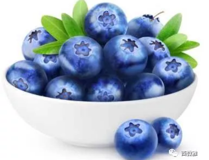 珍貴的果脯-藍莓干(圖4) 珍貴的果脯-藍莓干(圖4)