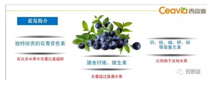 珍貴的果脯-藍莓干(圖9) 珍貴的果脯-藍莓干(圖9)